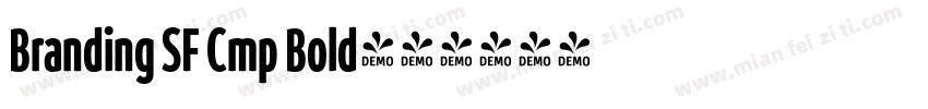 Branding SF Cmp Bold字体转换